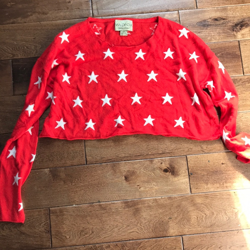 Red Wildfox Star Crop Sweater